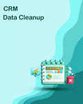 CRM Data Cleanup
