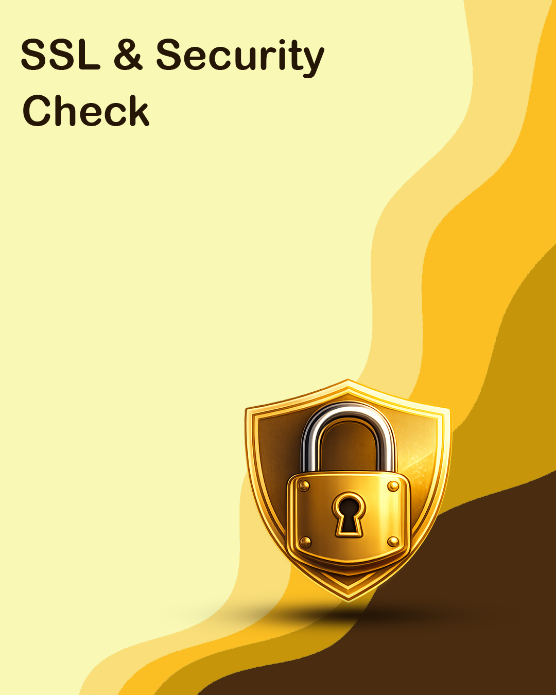 SSL & Security Check Service