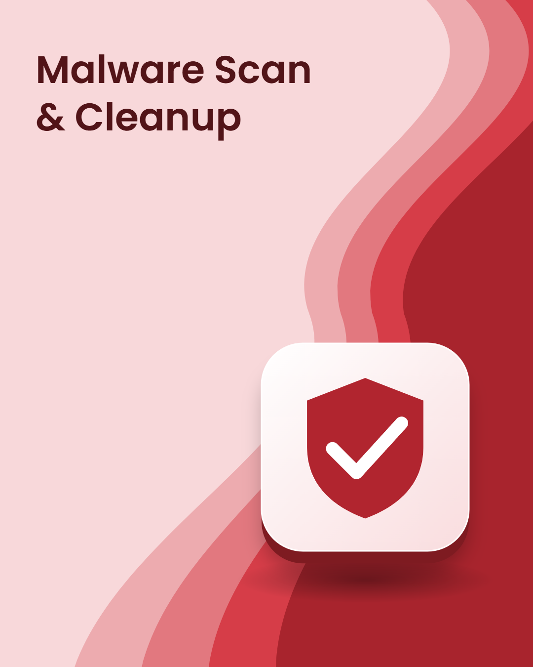 Malware Scan & Cleanup