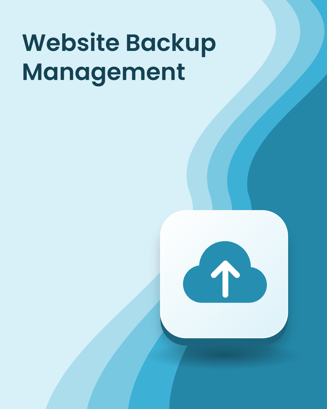 Website Backup Management